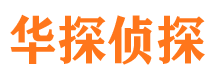 墨江侦探调查公司